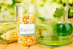 Morthen biofuel availability